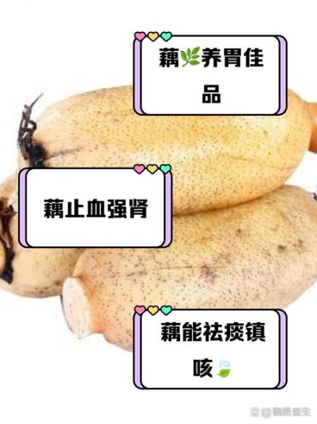 孕妇能吃莲藕吗_莲藕对胎儿的好处-第1张图片-星辰妙记