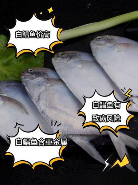 孕妇可以吃鲳鱼吗_孕期吃鲳鱼注意事项-第3张图片-星辰妙记