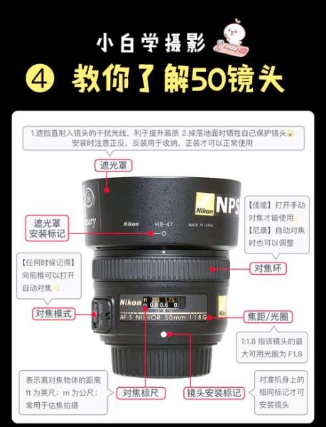 50mm镜头适合拍什么_新手入门指南-第1张图片-星辰妙记 50mm镜头适合拍什么_新手入门指南-第1张图片-星辰妙记