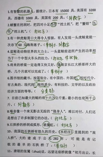 说明文怎么写_说明文写作技巧-第1张图片-星辰妙记