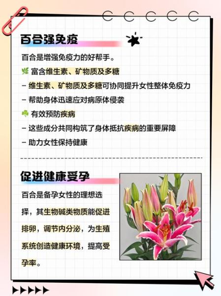 百合孕妇可以吃吗_孕妇吃百合对胎儿有影响吗-第1张图片-星辰妙记 百合孕妇可以吃吗_孕妇吃百合对胎儿有影响吗-第1张图片-星辰妙记