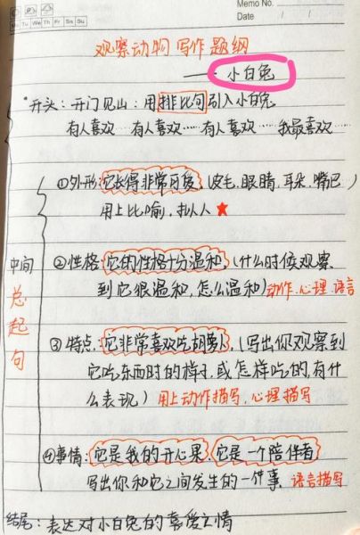 如何写好作文_作文纲要怎么写-第2张图片-星辰妙记