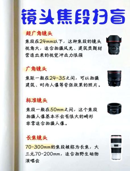 入门微距镜头推荐_微距镜头怎么选-第1张图片-星辰妙记