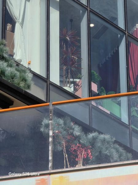 手机长焦镜头有什么用_怎么拍出清晰远景-第3张图片-星辰妙记