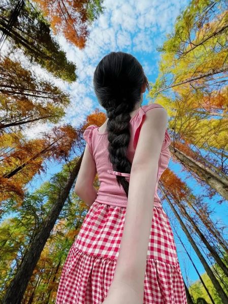 10mm镜头适合拍什么_10mm超广角怎么拍-第1张图片-星辰妙记 10mm镜头适合拍什么_10mm超广角怎么拍-第1张图片-星辰妙记