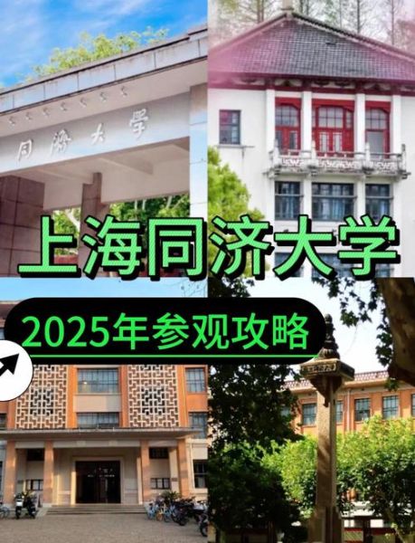 同济大学地址在哪里_同济大学有几个校区-第1张图片-星辰妙记