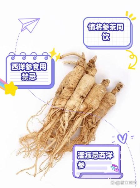 孕妇可以喝西洋参吗_孕妇吃西洋参的禁忌-第3张图片-星辰妙记