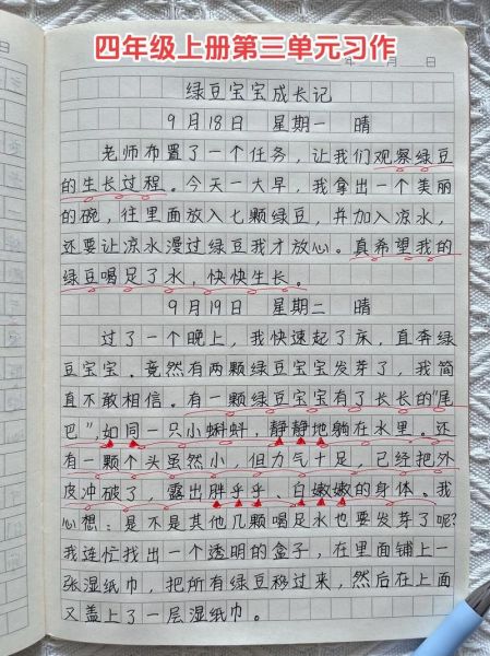 观察作文300字怎么写_观察作文300字写作技巧-第2张图片-星辰妙记 观察作文300字怎么写_观察作文300字写作技巧-第2张图片-星辰妙记