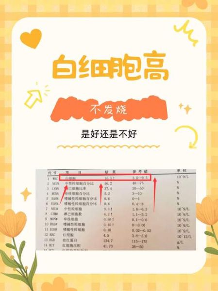 孕妇白细胞偏高正常吗_孕妇白细胞正常值范围-第1张图片-星辰妙记