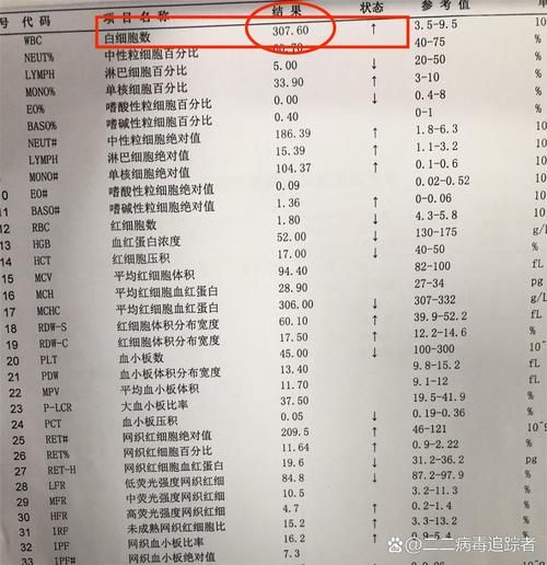 孕妇白细胞偏高正常吗_孕妇白细胞正常值范围-第3张图片-星辰妙记