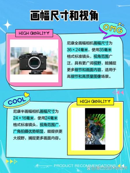 单反镜头DX和FX区别_DX镜头值得买吗-第1张图片-星辰妙记