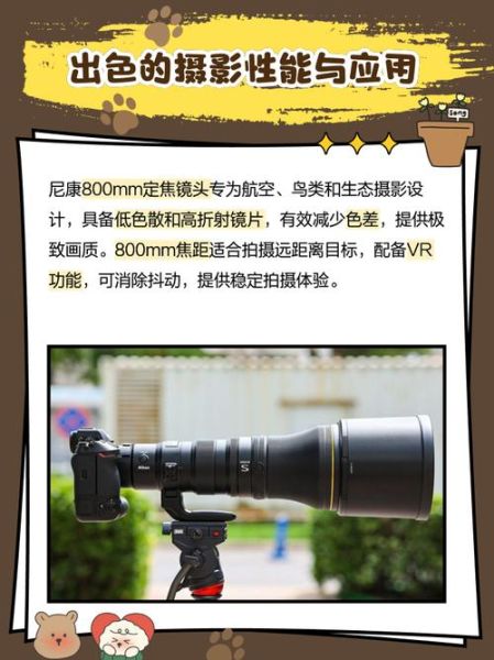 尼康D800配什么镜头_尼康D800镜头推荐-第3张图片-星辰妙记