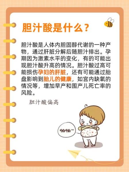 孕妇胆汁酸高有什么症状_胆汁酸偏高对胎儿影响-第3张图片-星辰妙记