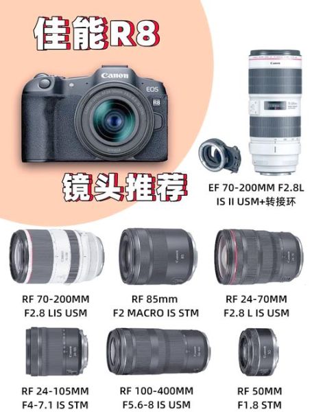 佳能镜头交易靠谱吗_二手佳能镜头价格怎么查-第2张图片-星辰妙记