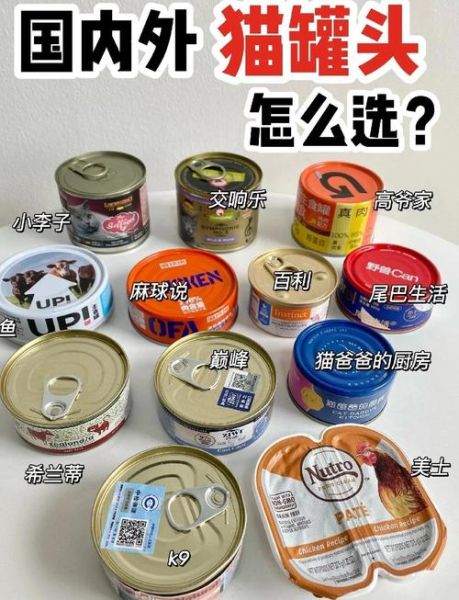 孕妇可以吃罐头吗_孕期罐头安全指南-第3张图片-星辰妙记