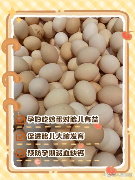 孕妇一天吃几个鸡蛋_孕妇吃鸡蛋对胎儿好吗-第1张图片-星辰妙记