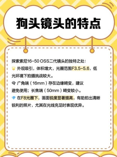 狗头镜头是什么_狗头镜头值得买吗-第1张图片-星辰妙记