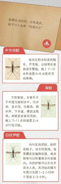 孕妇梦见很多蚊子_孕妇梦见蚊子是什么意思-第2张图片-星辰妙记