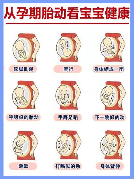 孕妇4个月有胎动吗_胎动最早什么时候出现-第2张图片-星辰妙记 孕妇4个月有胎动吗_胎动最早什么时候出现-第2张图片-星辰妙记