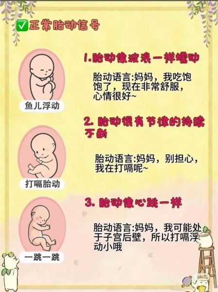孕妇胎动什么时候开始_胎动频繁正常吗-第2张图片-星辰妙记