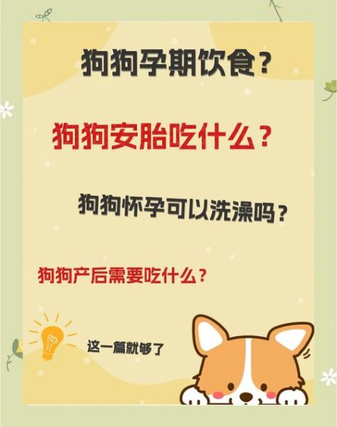 孕妇狗吃什么好_孕期狗狗注意事项-第1张图片-星辰妙记