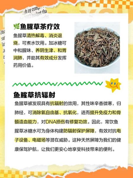 孕妇能喝鱼腥草水吗_鱼腥草水对胎儿有影响吗-第1张图片-星辰妙记
