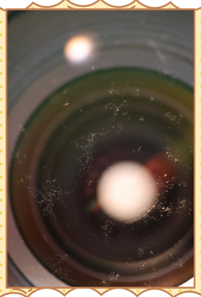 镜头长霉怎么处理_镜头长霉会损坏镜片吗-第1张图片-星辰妙记