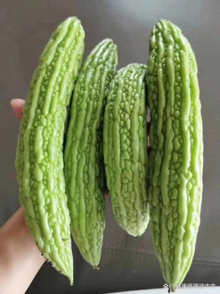 孕妇不能吃苦瓜吗_孕早期吃苦瓜会流产吗-第1张图片-星辰妙记 孕妇不能吃苦瓜吗_孕早期吃苦瓜会流产吗-第1张图片-星辰妙记