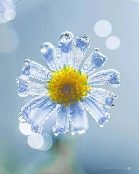 正光摄影镜头怎么样_适合拍什么题材-第3张图片-星辰妙记