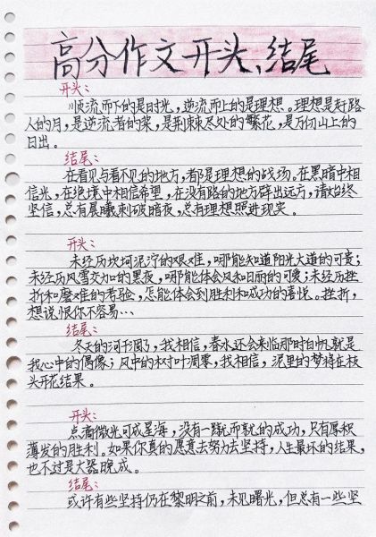 如何写出满分作文开头_优秀作文开头范例-第2张图片-星辰妙记