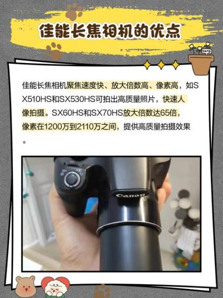 佳能长焦镜头推荐_佳能长焦镜头怎么选-第3张图片-星辰妙记