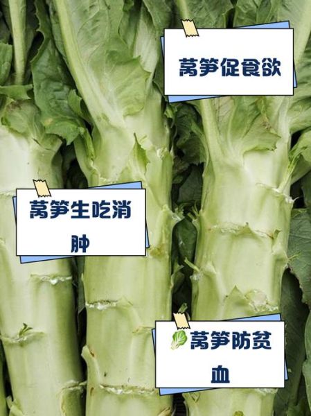 孕妇可以吃莴笋吗_莴笋对胎儿有什么好处-第2张图片-星辰妙记