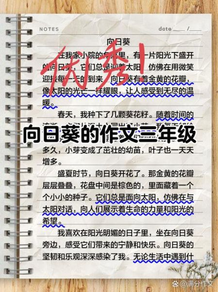 向日葵为什么总是向着太阳_向日葵作文怎么写-第1张图片-星辰妙记