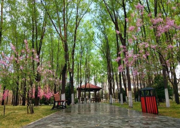 兰州财经大学全国排名_兰州财经大学怎么样-第2张图片-星辰妙记