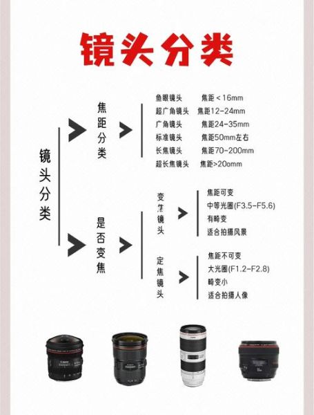 5d镜头值得买吗_5d镜头和微单镜头区别-第1张图片-星辰妙记