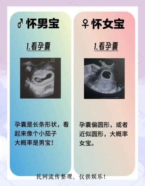 孕妇梦见捡鸡蛋是什么意思_孕妇梦见捡鸡蛋生男生女-第1张图片-星辰妙记