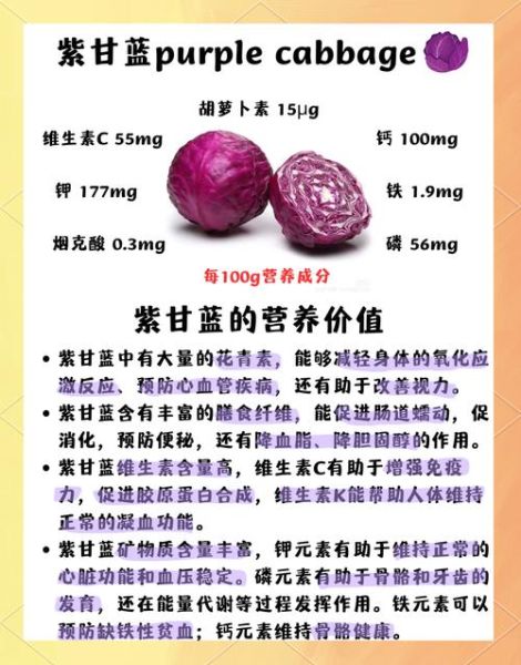 孕妇可以吃紫甘蓝吗_紫甘蓝对孕妇的好处-第1张图片-星辰妙记