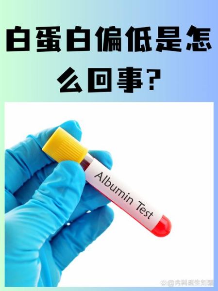 孕妇总蛋白和白蛋白偏低怎么办_对胎儿有什么影响-第1张图片-星辰妙记