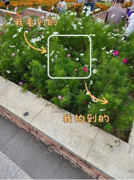 长焦镜头适合拍什么_长焦镜头和广角镜头区别-第3张图片-星辰妙记