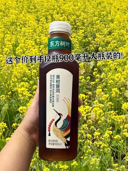 孕妇可以喝东方树叶吗_东方树叶孕妇能喝吗-第1张图片-星辰妙记