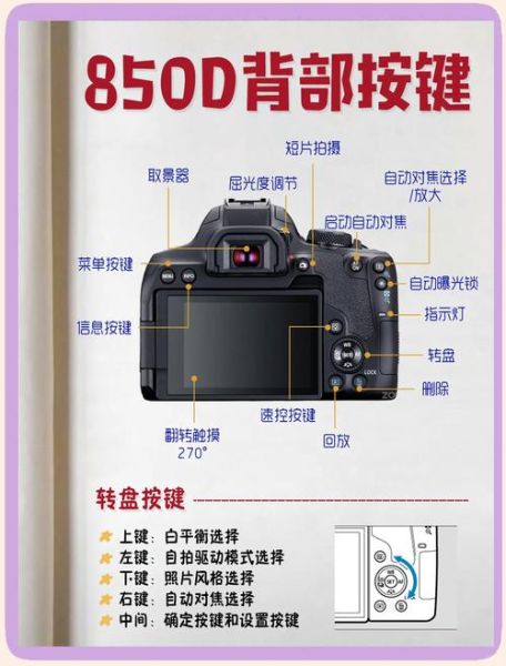 单反换镜头怎么选_镜头卡口不兼容怎么办-第3张图片-星辰妙记