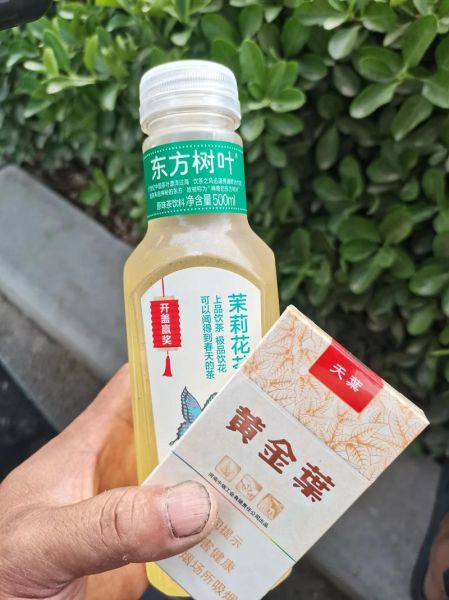 孕妇可以喝东方树叶吗_东方树叶孕妇能喝吗-第3张图片-星辰妙记