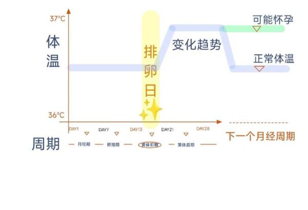 孕妇体温比正常人高吗_孕期体温多少算正常-第3张图片-星辰妙记 孕妇体温比正常人高吗_孕期体温多少算正常-第3张图片-星辰妙记