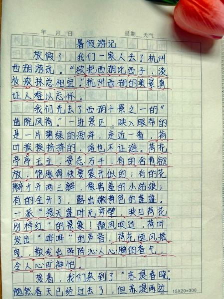 暑假去哪里玩_暑假游玩作文怎么写-第1张图片-星辰妙记