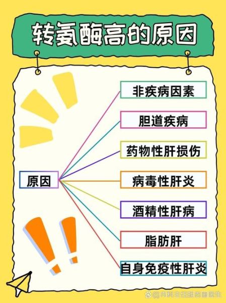 孕妇转氨酶高怎么调理_孕妇转氨酶偏高吃什么好-第3张图片-星辰妙记