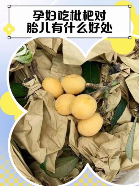 孕妇晚期能吃枇杷吗_枇杷对胎儿影响-第1张图片-星辰妙记 孕妇晚期能吃枇杷吗_枇杷对胎儿影响-第1张图片-星辰妙记