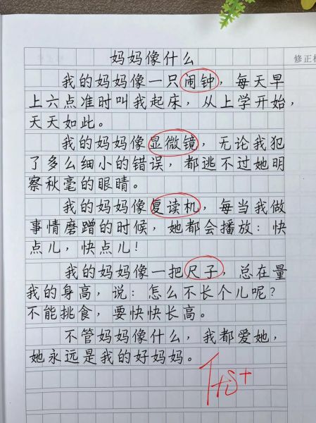 给妈妈画像作文怎么写_如何描写妈妈外貌性格-第2张图片-星辰妙记