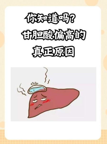 孕妇甘胆酸偏高怎么办_对胎儿有什么影响-第2张图片-星辰妙记 孕妇甘胆酸偏高怎么办_对胎儿有什么影响-第2张图片-星辰妙记