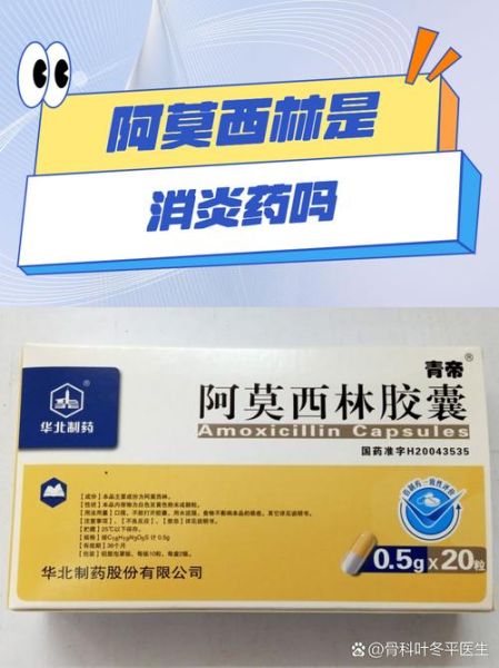 阿莫西林孕妇能吃吗_怀孕吃阿莫西林安全吗-第2张图片-星辰妙记