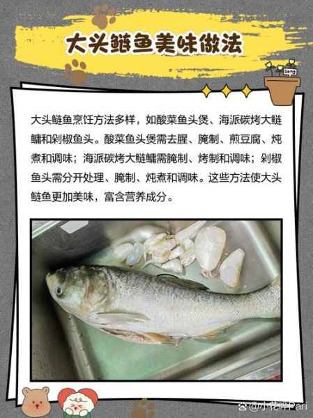 孕妇能吃鲢鱼吗_孕妇吃鲢鱼的好处和禁忌-第1张图片-星辰妙记